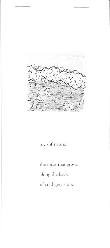 Cover Image for My Softness Is