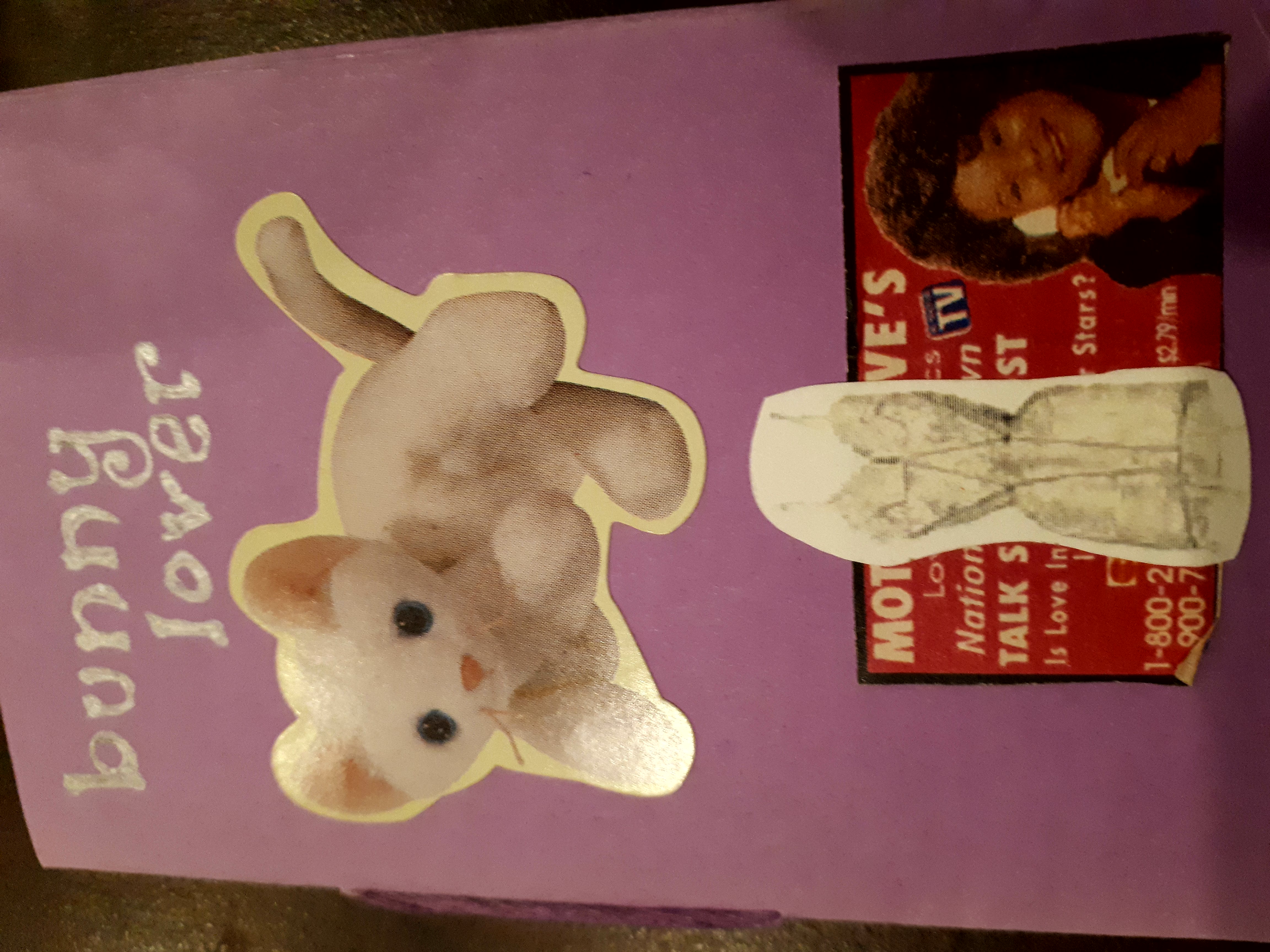 Kitten sticker on cover