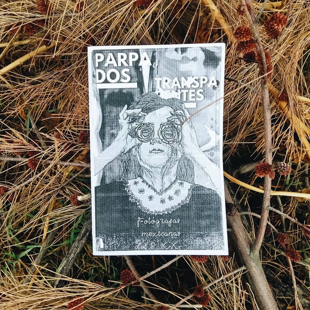 Cover of Parpados Transparentes