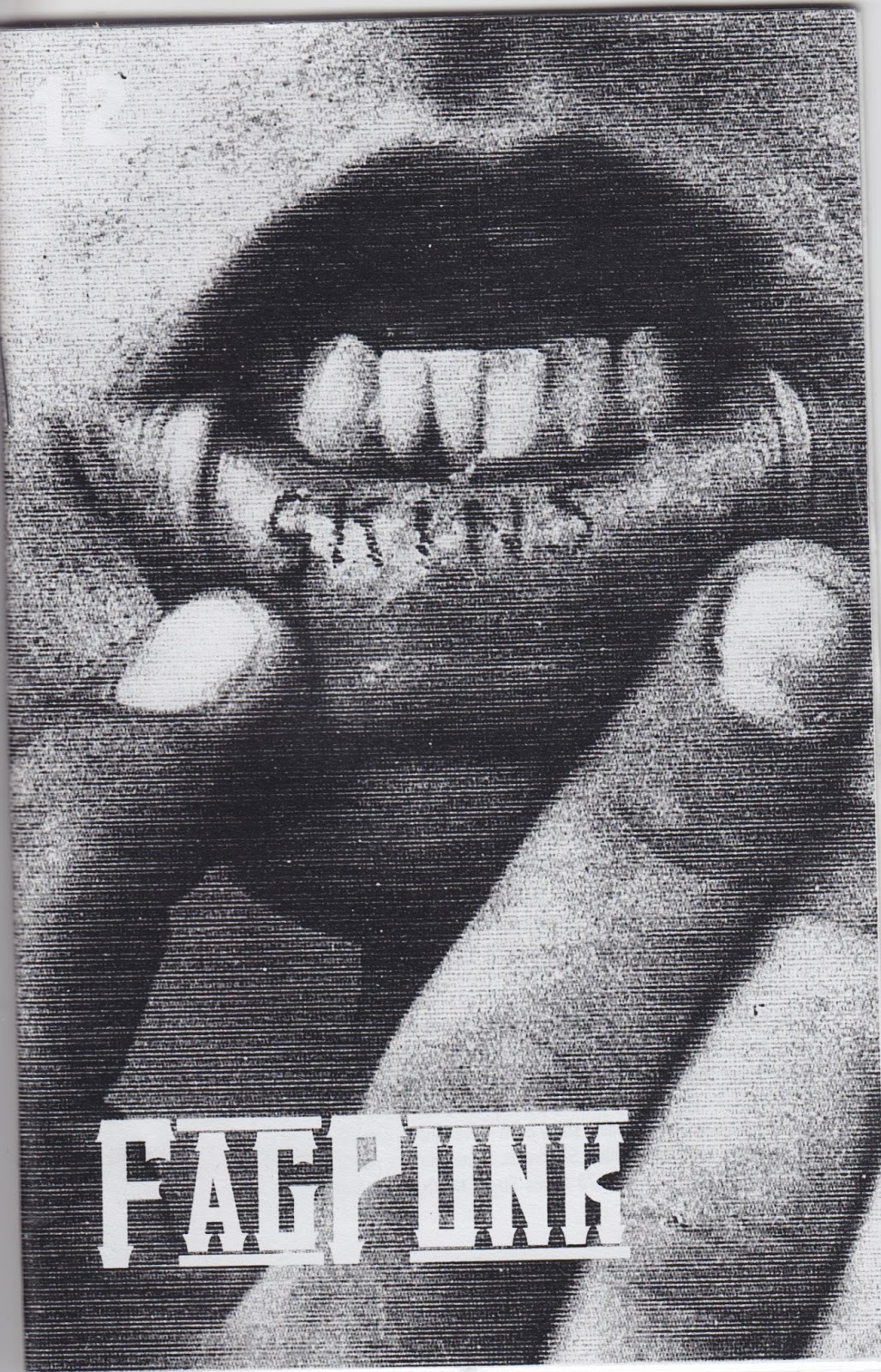 Cover of Fag Punk 12
