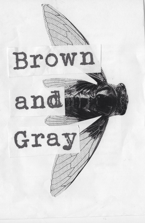 Cover of Brown and Gray