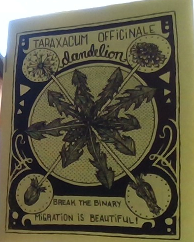 Dandelion: MIgration is beautiful