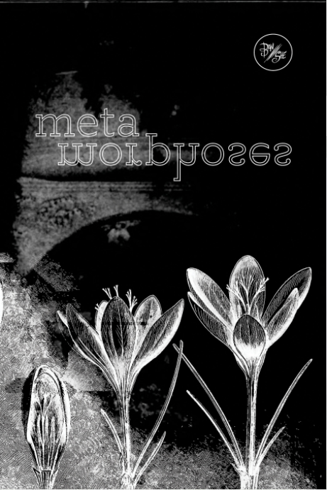 A dark textured background with ghostly white flower illustrations at the bottom