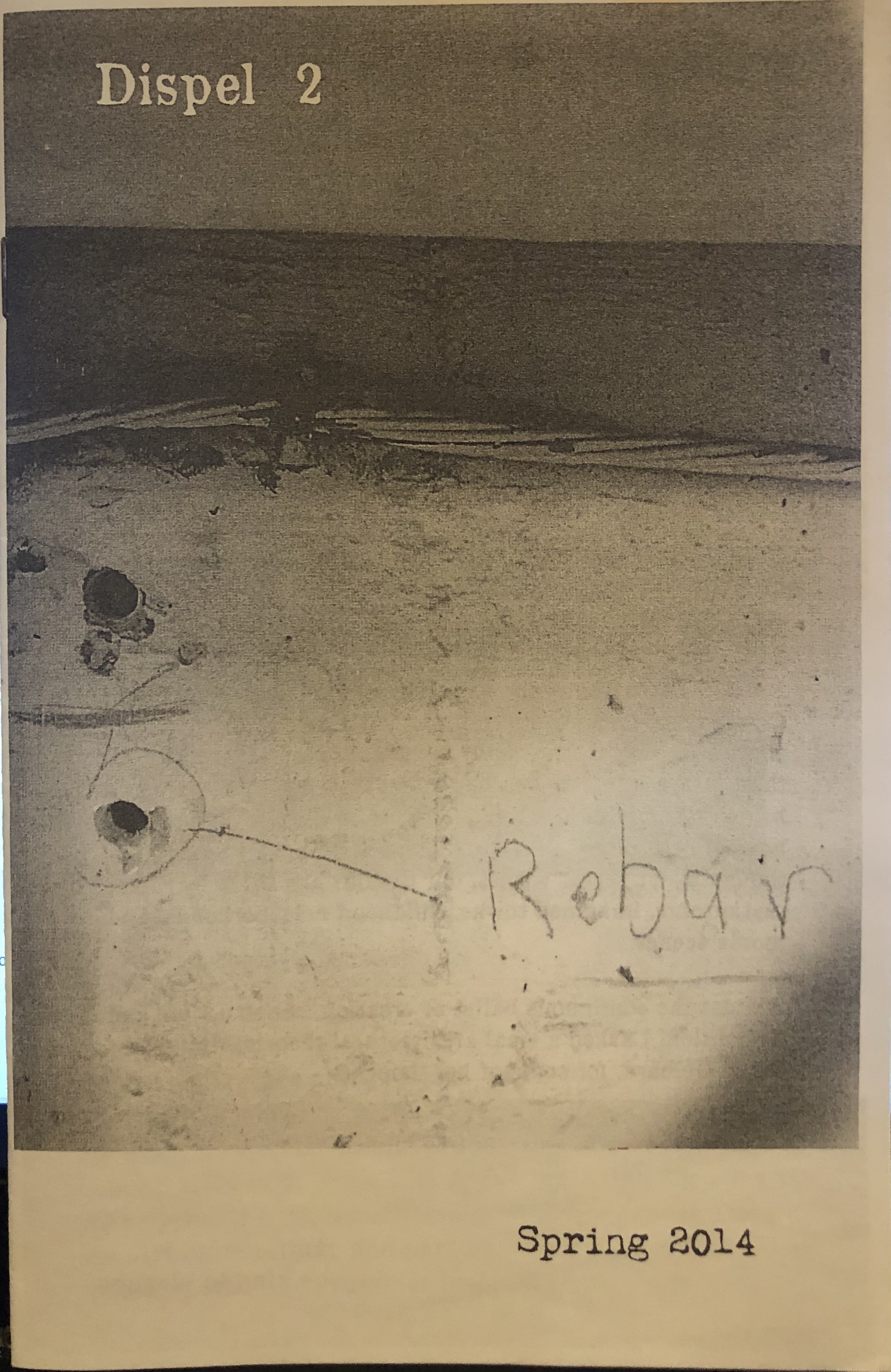 greyscale image of a cement wall with a hole labelled "rebar" title text reads "Dispel ", subtitle reads "Spring 2014"