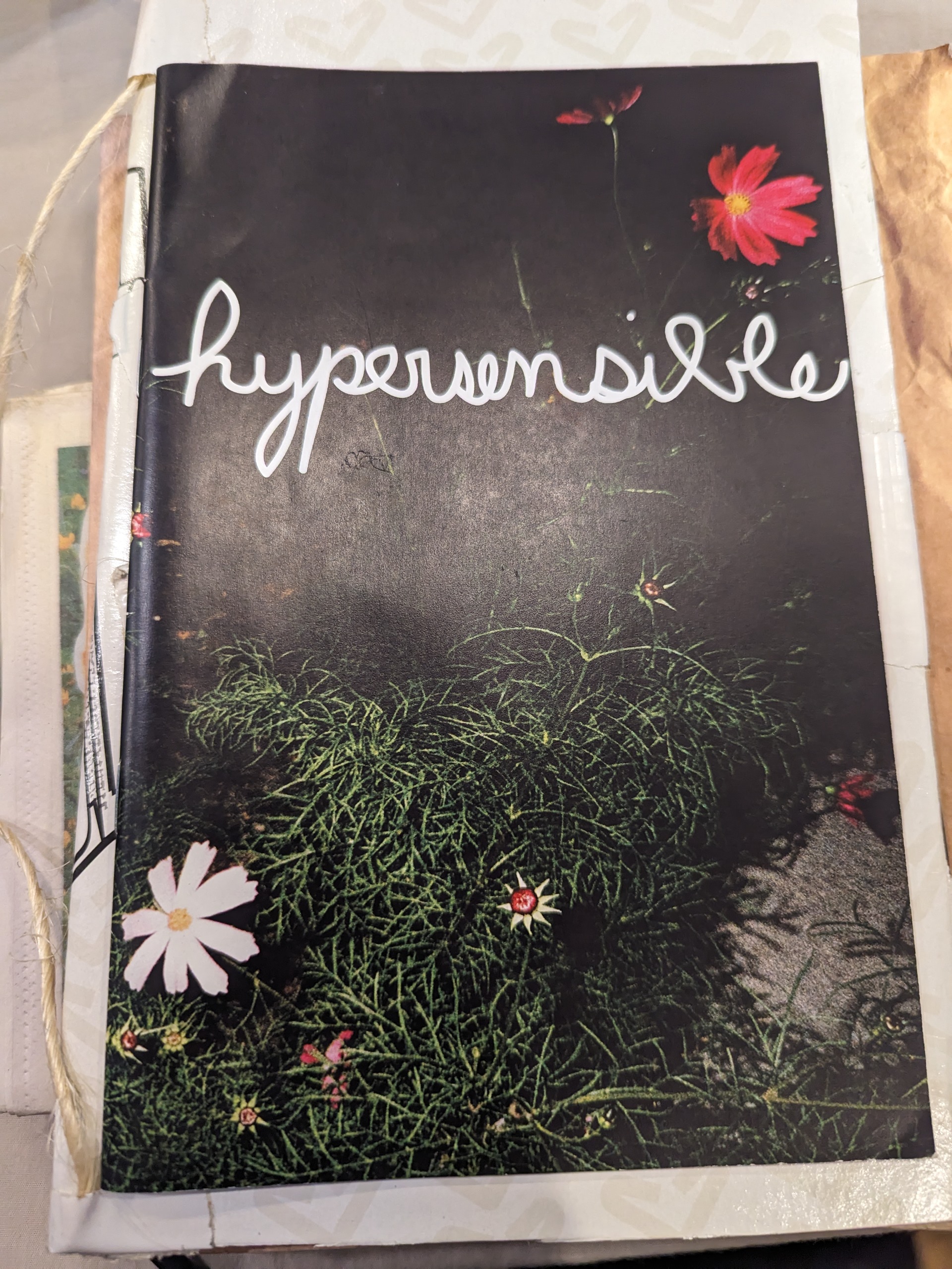 The title is written as hypersensible, all lowercase, in white cursive sharpie. There is a pinkish-red flower over top of the title in the upper right corner of the zine. Underneath the title is what seems to be a green bush with a white flower at the bottom left corner of the zine.